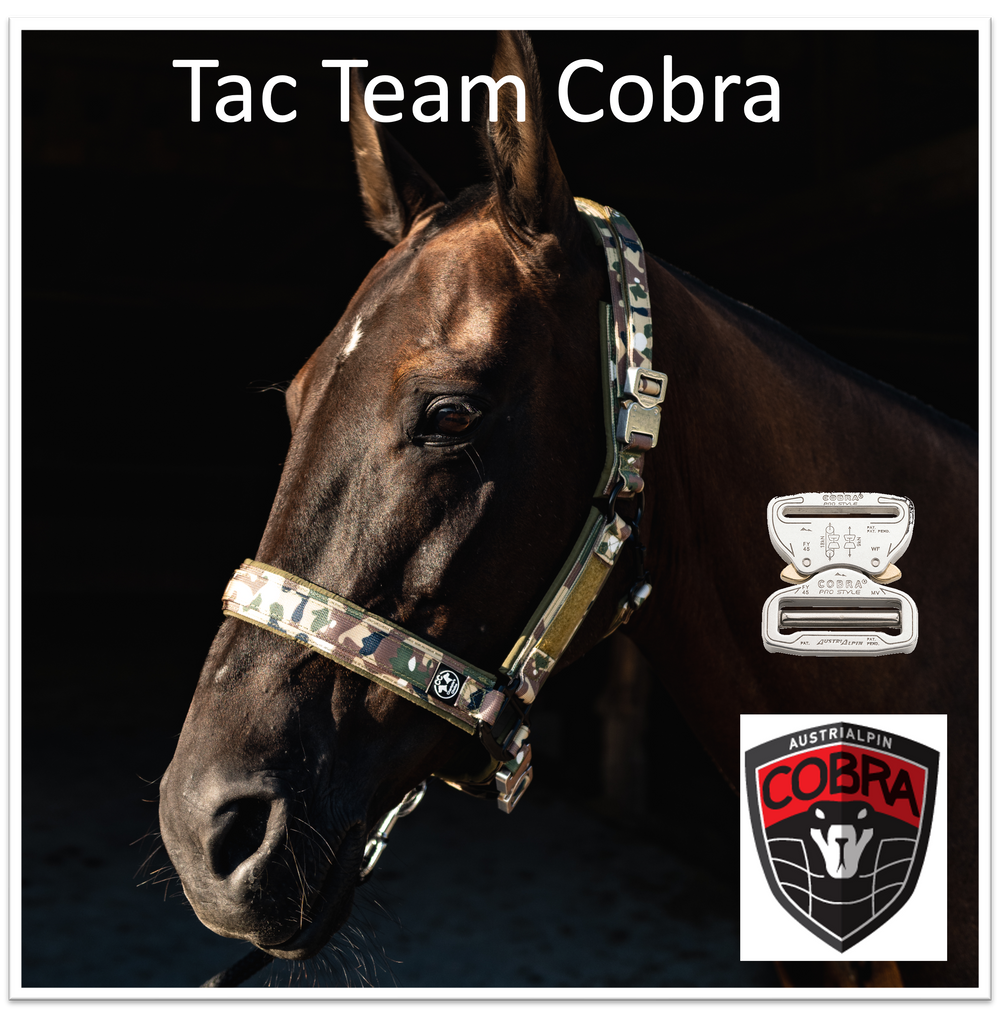 Licol Tac Team Cobra avec patchs nominatifs - camouflage