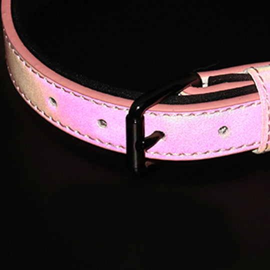 SpaceTEC Reflektorhalsband von Charlotte's Choice (24cm-62cm) pink
