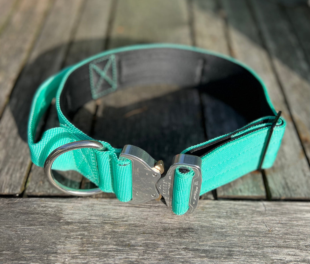 halsband auch hundehalsband in farbe mint türkis