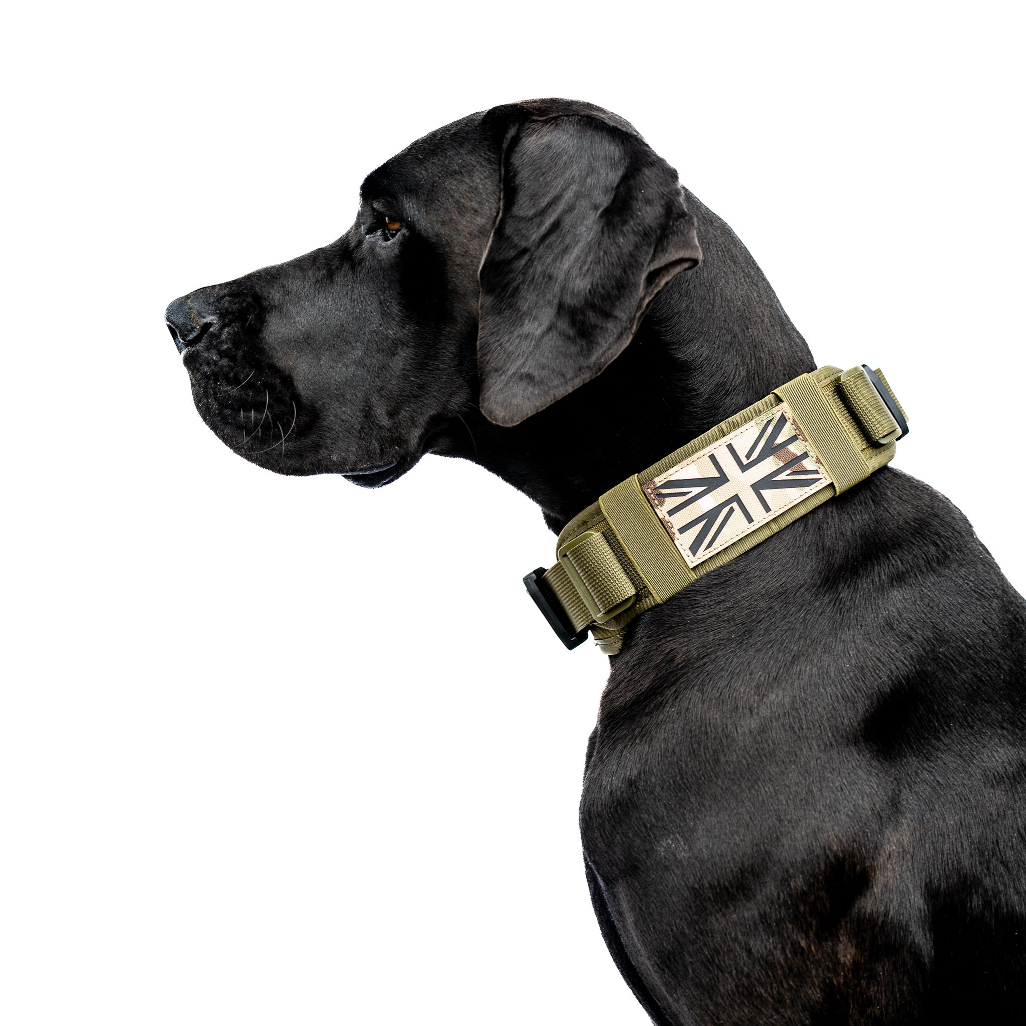 Hamilton Hundehalsband Verstellbar – Für Große Rassen, Nylon, In 15 Farben, 45–66 Cm