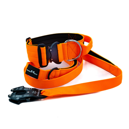 On Duty Cobra Haltegriff Halsband 5cm für grosse Hunde (46cm-78cm) - neon orange, Schnalle schwarz