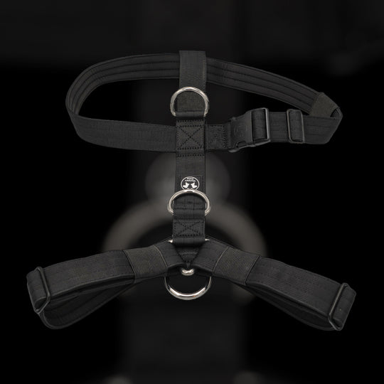 3Point chest harness On Duty black