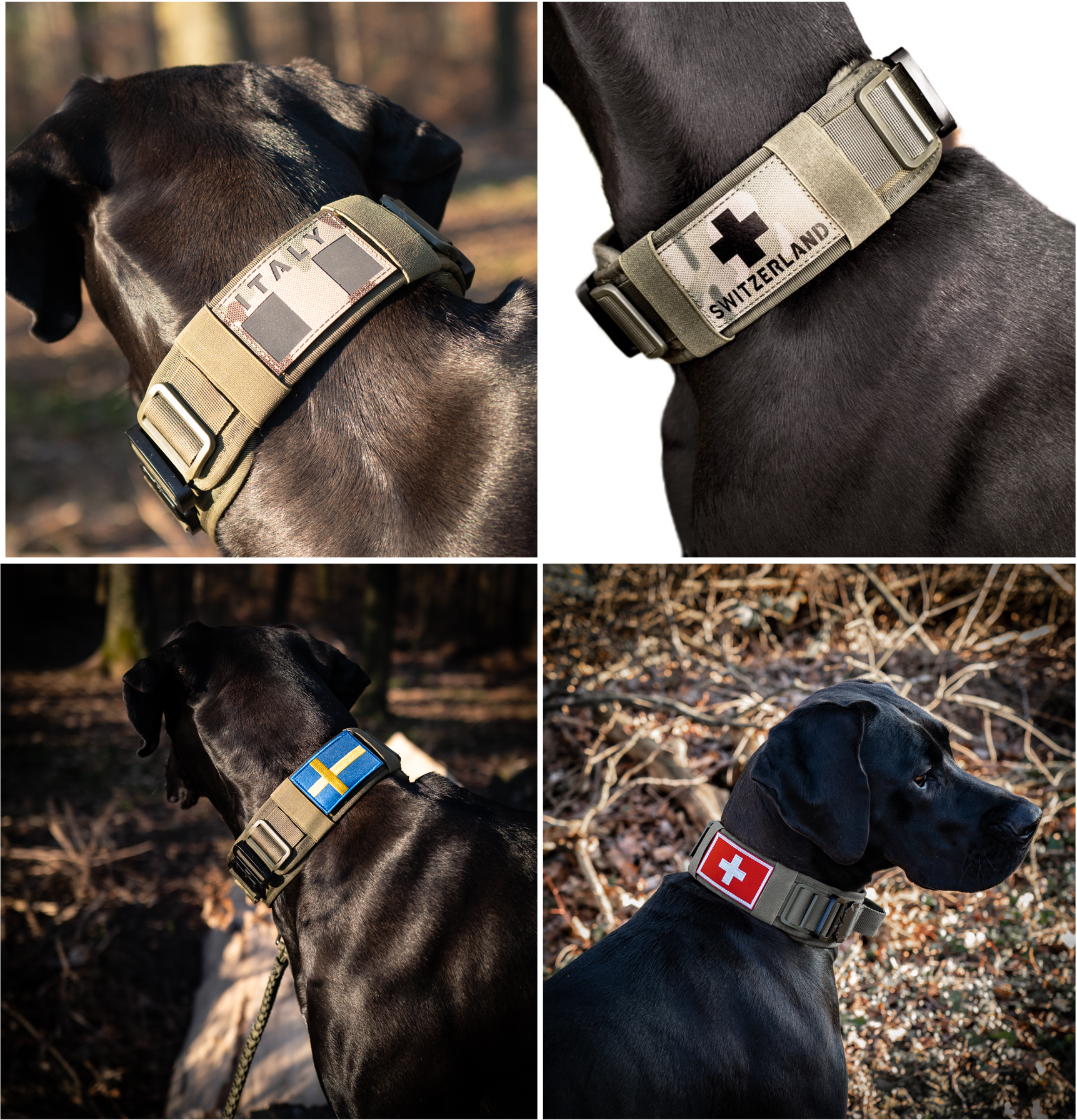 Farbcodiertes Hundehalsband Für Blinde Hunde – Breites Nylonhalsband L-XL Mit Warnaufschrift (weiß/gelb)