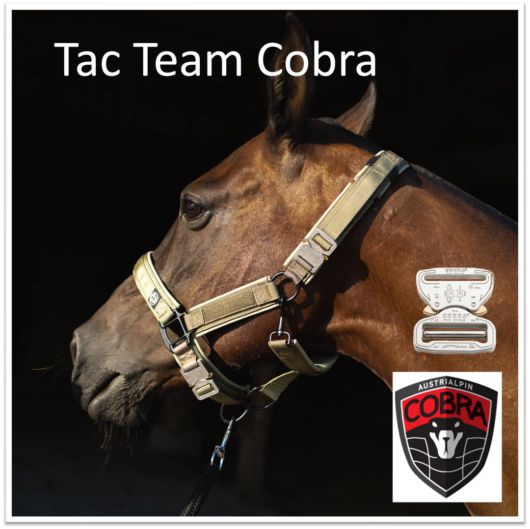 Tac Team Cobra Halfter mit Namenpatches army green