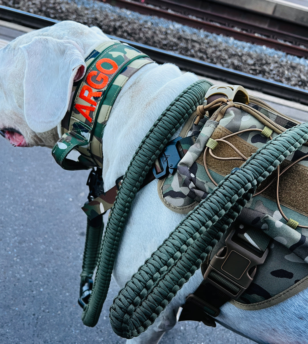 Rambo Leine Messing Karabiner gross grosse Hunde - Mit Kurzhaltegriff und 360Grad Wirbel - 100kg+ (schwarz/army grün)