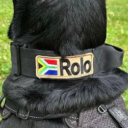 On Duty Cobra Haltegriff Halsband 5 cm für grosse Hunde (41 cm-60 cm) - schwarz, Schnalle Alu gebürstet