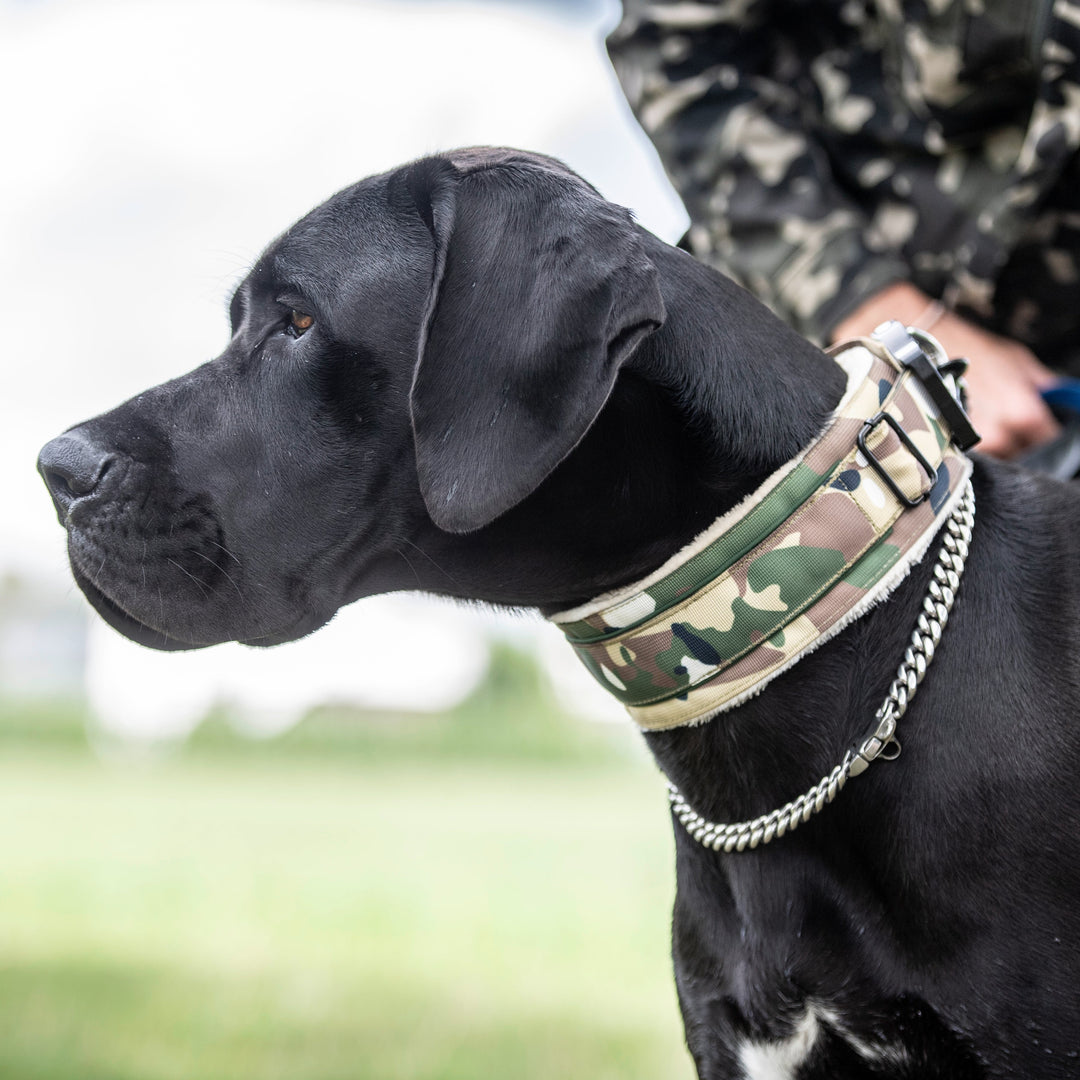Luxus Heavy Duty Cobra Haltegriff Halsband 7cm breit für grosse Hunde camouflage Neoprenpolster oder Fell(45cm-80cm)