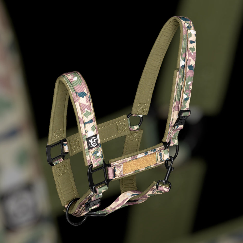 Licol Tac Team avec patchs nominatifs - camouflage