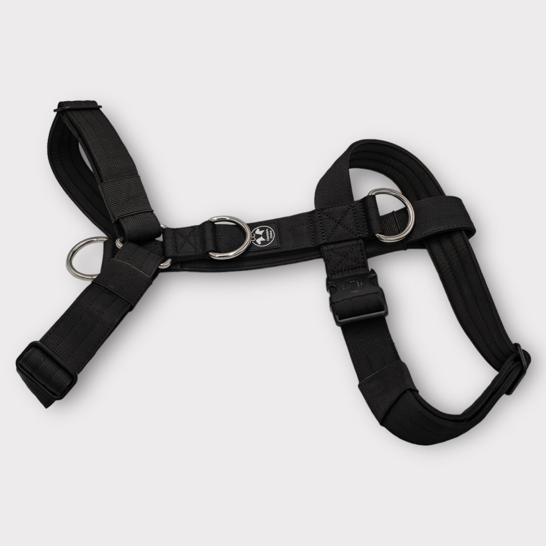 3Point chest harness On Duty black