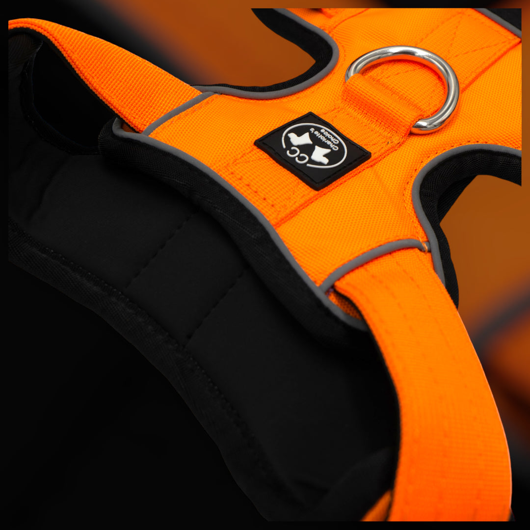 On Duty Comfo-Luxus Geschirr (M/L/XL) orange
