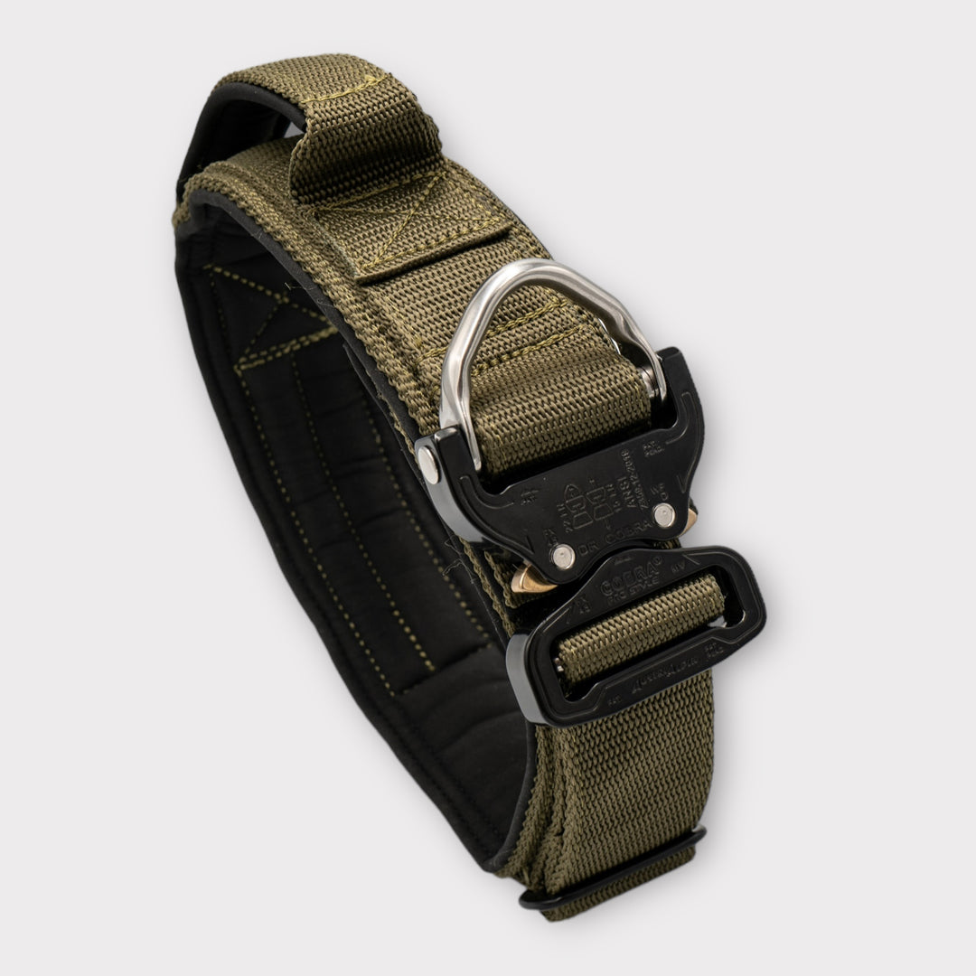 Luxus Heavy Duty Cobra Halsband 5cm für grosse Hunde (Farben personalisierbar)
