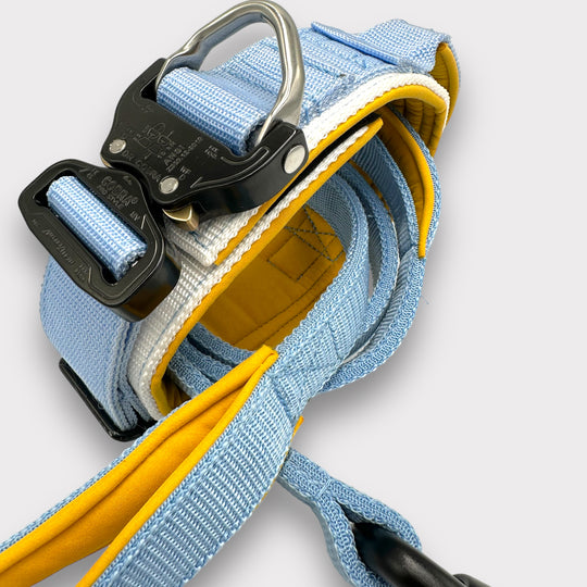 Luxus Heavy Duty Cobra Halsband 5cm für grosse Hunde (Farben personalisierbar)