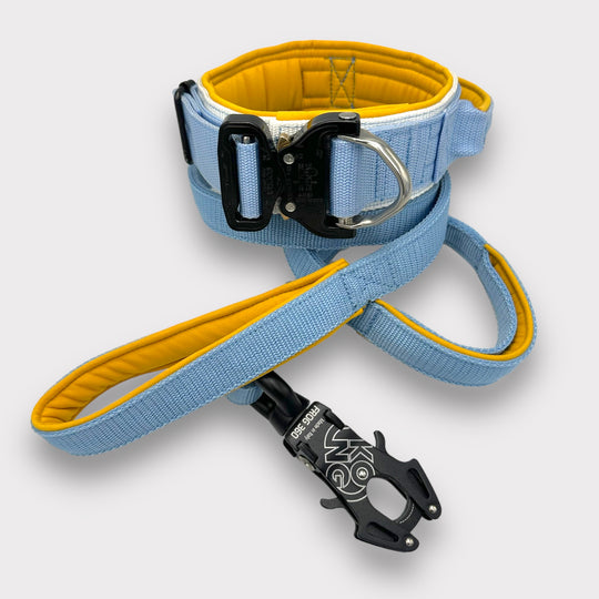 Luxus Heavy Duty Halsband personalisierbar 5 cm & 7 cm für grosse Hunde